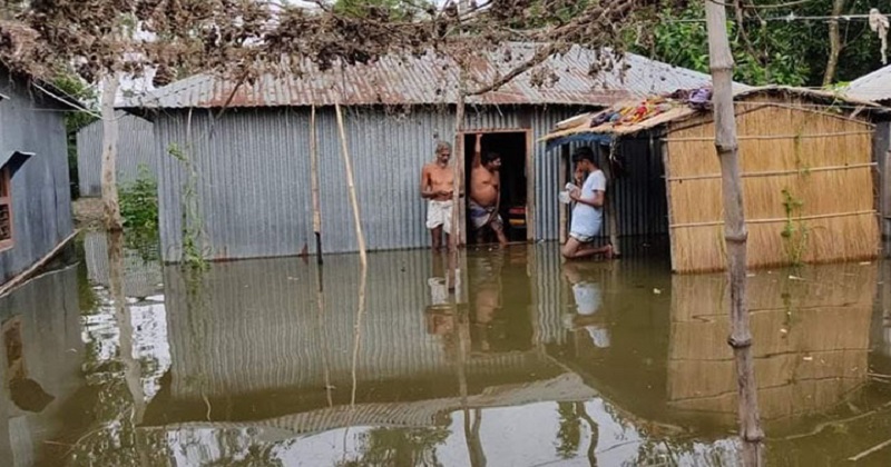 পেঁয়াজ কারসাজিতে জড়িত ব্যবসায়ীদের লাইসেন্স বাতিলের সুপারিশ